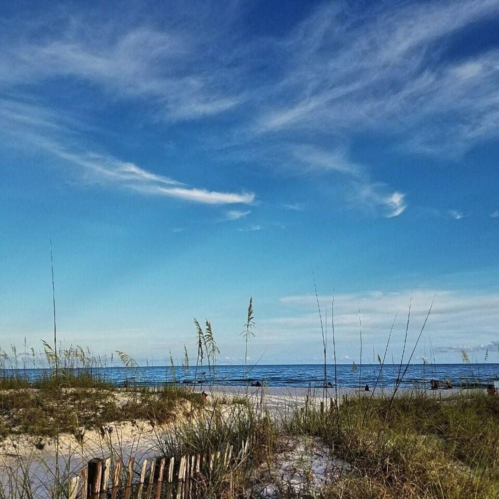 Meet your Posher, Judy